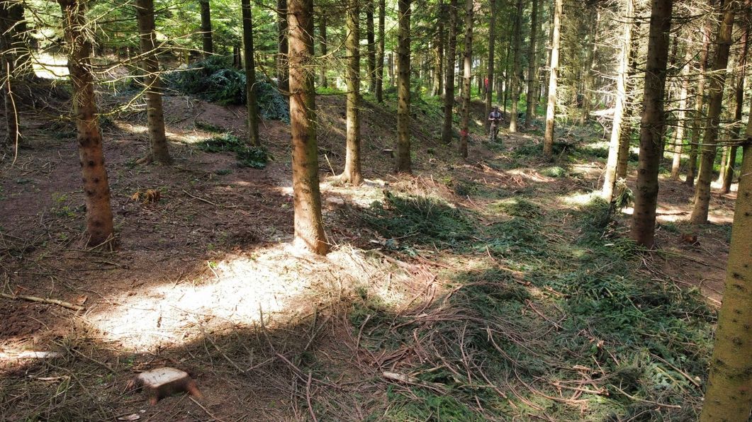 Die Auszeige bietet die optimale Arbeitsvorbereitung für die Schlägerung. Die Auszeige bietet die optimale Arbeitsvorbereitung für die Schlägerung.