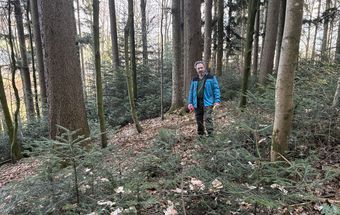 Bitte stimmen Sie die Nutzung vorab mit dem Waldhelfer ab.