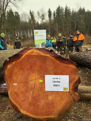 Siegerstamm 5. Nadel-Wertholzsubmission 2025 Siegerstamm 5. Nadel-Wertholzsubmission 2025